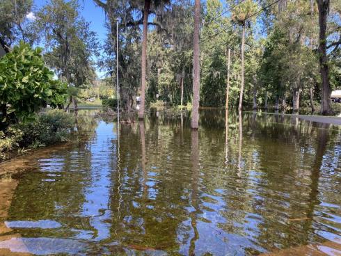 Click image for larger version

Name:	AAFF97D2-E51A-40DD-8494-05DEE9F44443_1_105_c.jpg
Views:	31
Size:	54.2 KB
ID:	114099