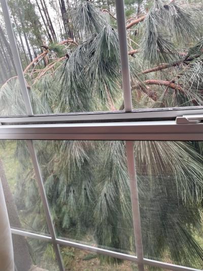 Click image for larger version  Name:	IMG_5017.jpg Views:	0 Size:	49.7 KB ID:	115947