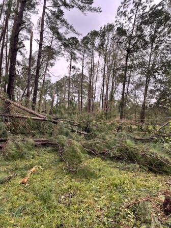 Click image for larger version  Name:	IMG_5025(1).jpg Views:	0 Size:	50.9 KB ID:	115948