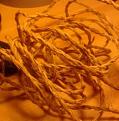 Click image for larger version

Name:	Rope plant 8.jpg
Views:	30
Size:	15.3 KB
ID:	107486